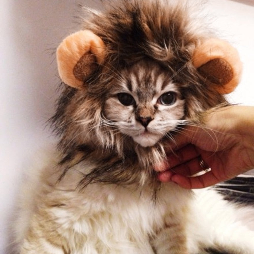 Funny Cat Costume Lion Mane